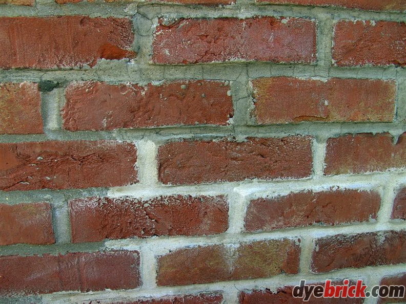 Applying Dyebrick 2.jpg